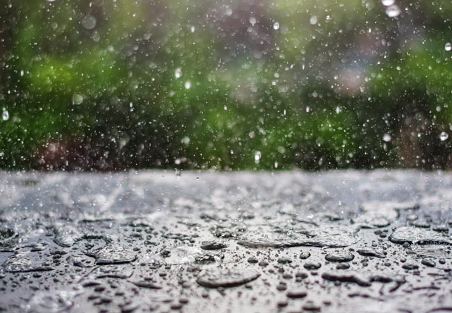 Assoreamento e Mata Ciliar: causas e consequências
