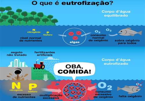 O que é eutrofização da água