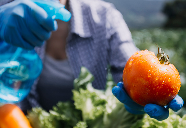 Agrotóxicos nos alimentos
