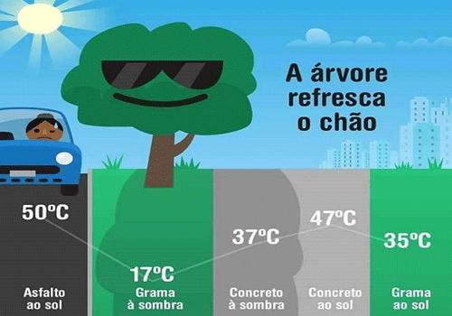 Importância das árvores