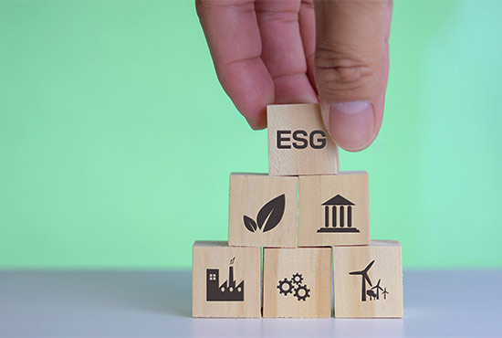 Como se tornar uma empresa ESG?