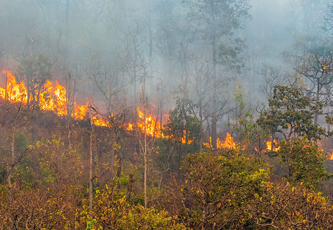 Exemplos de passivo ambiental
