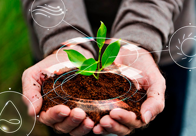 Como obter a reabilitação de uma área contaminada?