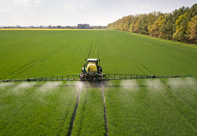 Tipos de tratamento de solo contaminado