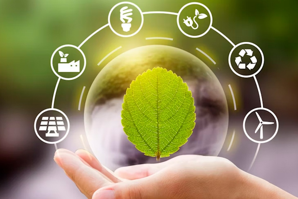 Investigação Ambiental: o que é e como funciona?