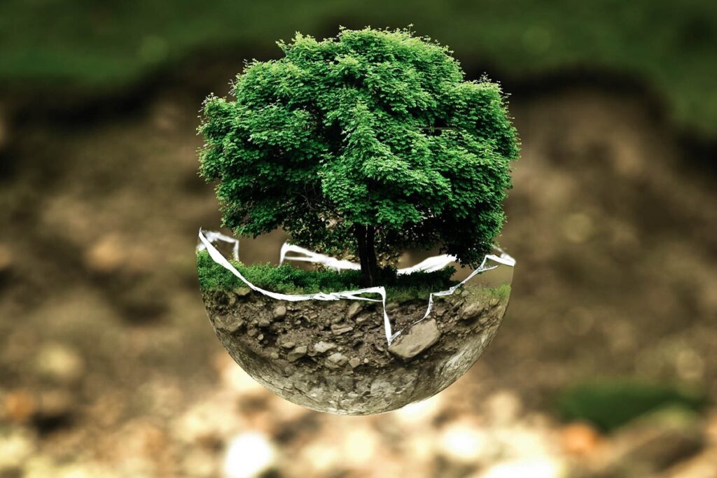 Dia do Meio Ambiente 2026: por que a gestão ambiental é mais necessária do que nunca?